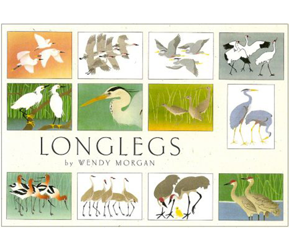 "Longlegs" Card Set - Crane Creek